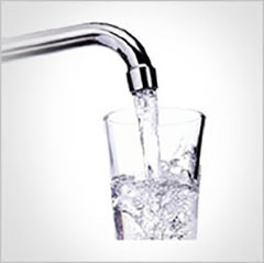 bacteria in water systems